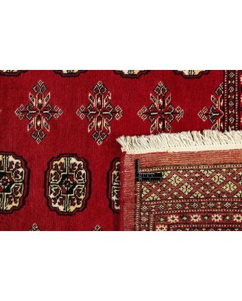 Pakistan Buchara 2 Ply 171x247cm
