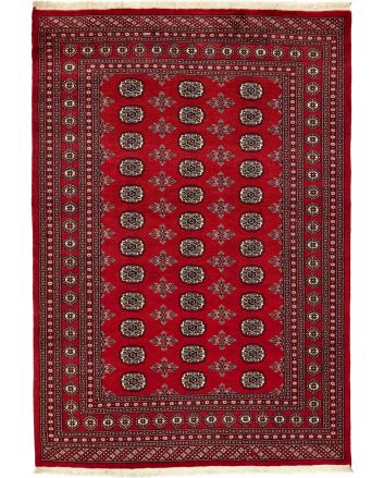 Pakistan Buchara 2 Ply 171x247cm