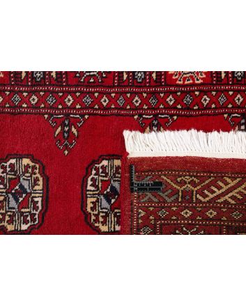 Pakistan Buchara 2 Ply 80x313cm