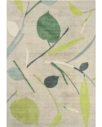 Oxalis Juniper 25507